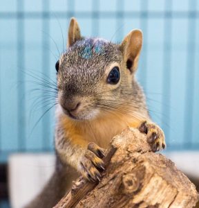 DSC04178CWCsept26-2014crop-988x1030